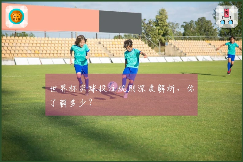 世界杯买球投注规则深度解析，你了解多少？