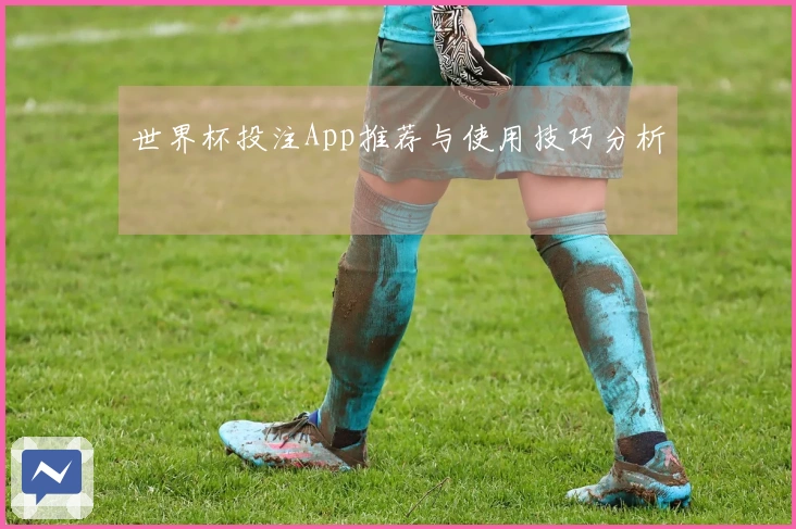 世界杯投注App推荐与使用技巧分析