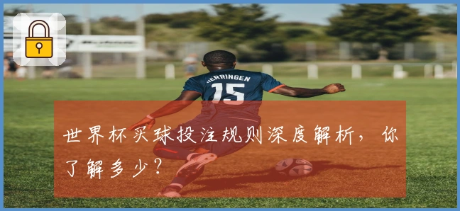 世界杯买球投注规则深度解析，你了解多少？